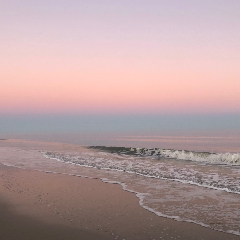 Meet your Posher, Wesley